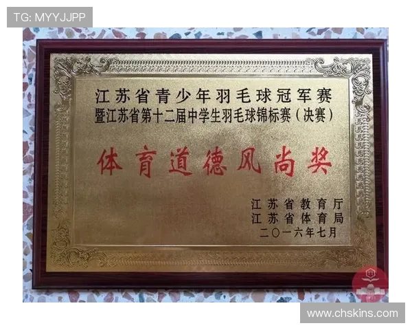 西安羽毛球队精英赛精彩配合分析与表现点评