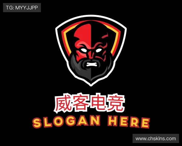 认识&#x5a01;&#x5ba2;&#x7535;&#x7ade;